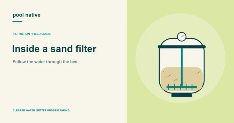 Inside a sand filter: original Pool Native explanatory illustration.