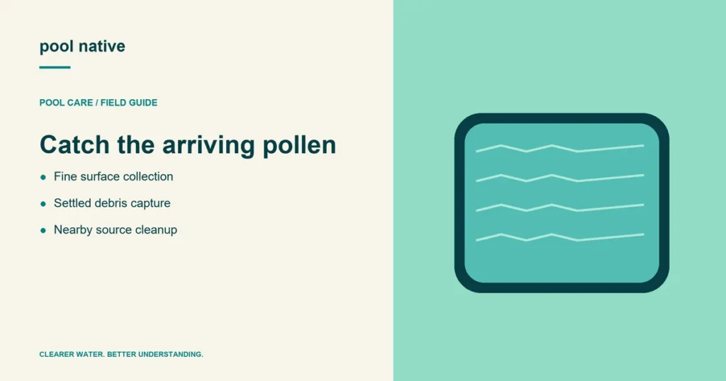 Catch the arriving pollen. Fine surface collection; Settled debris capture; Nearby source cleanup.