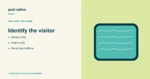 Identify the visitor. Behavior first; Water clarity; Recurring conditions.