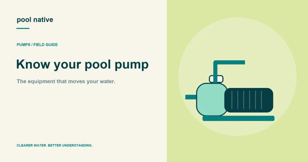 Know your pool pump: original Pool Native explanatory illustration.