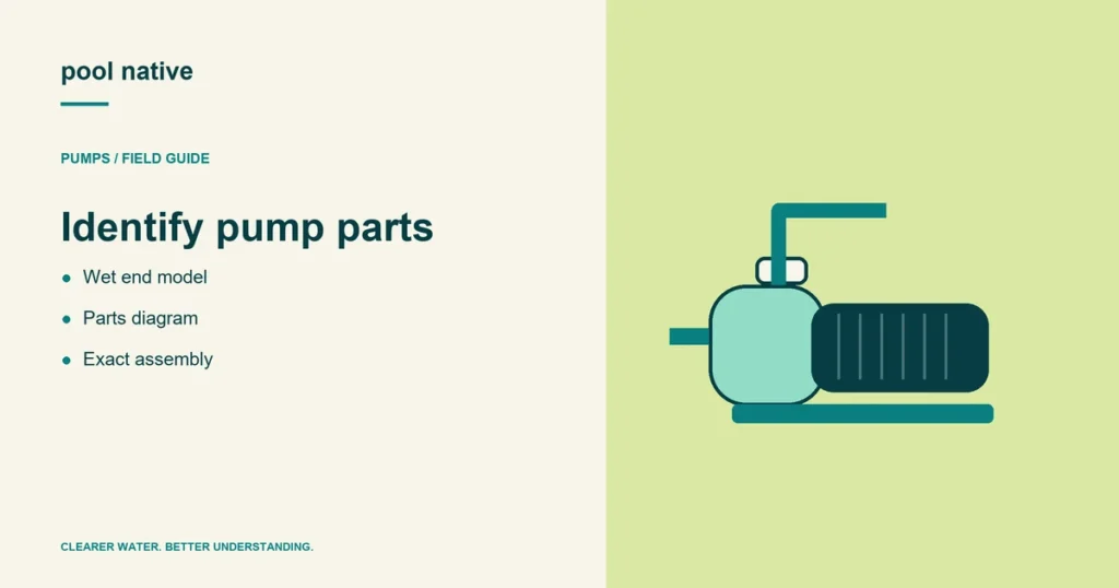 Identify pump parts. Wet end model; Parts diagram; Exact assembly.