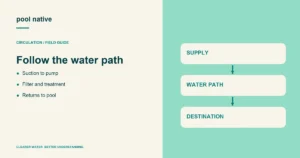 Follow the water path. Suction to pump; Filter and treatment; Returns to pool.