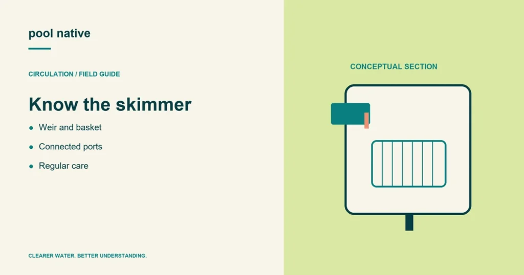 Know the skimmer. Weir and basket; Connected ports; Regular care.
