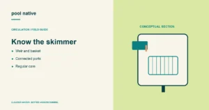 Know the skimmer. Weir and basket; Connected ports; Regular care.