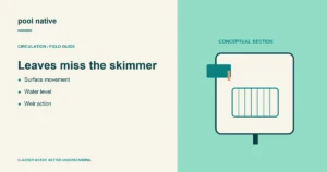Leaves miss the skimmer. Surface movement; Water level; Weir action.