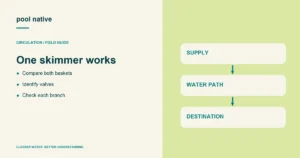 One skimmer works. Compare both baskets; Identify valves; Check each branch.