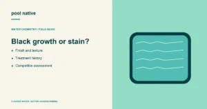 Black growth or stain?. Finish and texture; Treatment history; Compatible assessment.
